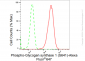 KD-Validated Anti-Phospho-Glycogen synthase 1 (S641) Rabbit Monoclonal Antibody