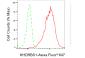 KD-Validated Anti-KHDRBS1 Rabbit Monoclonal Antibody