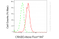 KD-Validated Anti-CRADD Rabbit Monoclonal Antibody