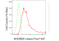 KD-Validated Anti-KHDRBS1 Rabbit Monoclonal Antibody