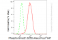 KD-Validated Anti-Phospho-Smad2 (S250) Rabbit Monoclonal Antibody