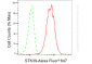 KD-Validated Anti-Serine/Threonine Kinase 39 Rabbit Monoclonal Antibody