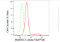 KD-Validated Anti-SMARCC1 Rabbit Monoclonal Antibody