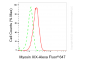 KD-Validated Anti-Myosin XIX Rabbit Monoclonal Antibody