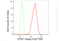 KD-Validated Anti-STAT1 Rabbit Monoclonal Antibody