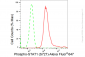 KD-Validated Anti-Phospho-STAT1 (S727) Rabbit Monoclonal Antibody