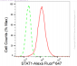 KD-Validated Anti-STAT1 Rabbit Monoclonal Antibody