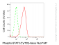 KD-Validated Anti-Phospho-STAT3 (Tyr705) Rabbit Monoclonal Antibody