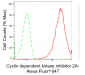 KD-Validated Anti-Cyclin Dependent Kinase Inhibitor 2A Rabbit Monoclonal Antibody