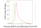 KD-Validated Anti-Phospho-EGFR (Tyr1068) Rabbit Monoclonal Antibody
