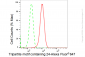 KD-Validated Anti-Tripartite motif containing 24 Rabbit Monoclonal Antibody