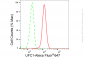KD-Validated Anti-UFC1 Rabbit Monoclonal Antibody