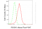 KD-Validated Anti-ROCK1 Rabbit Monoclonal Antibody