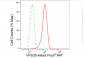 KD-Validated Anti-VPS35 Rabbit Monoclonal Antibody