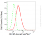 KD-Validated Anti-CD147 Rabbit Monoclonal Antibody