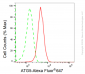KD-Validated Anti-ATG5 Rabbit Monoclonal Antibody
