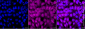 KD-Validated Anti-CDC34 Rabbit Monoclonal Antibody