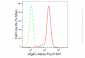 KD-Validated Anti-Atg4C Rabbit Monoclonal Antibody