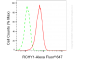 KD-Validated Anti-RCHY1 Rabbit Monoclonal Antibody