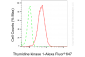 KD-Validated Anti-Thymidine Kinase 1 Rabbit Monoclonal Antibody