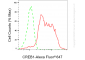 KD-Validated Anti-CREB1 Rabbit Monoclonal Antibody