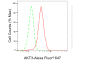 KD-Validated Anti-AKT3 Mouse Monoclonal Antibody
