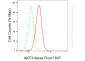 KD-Validated Anti-AKT3 Mouse Monoclonal Antibody