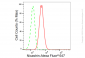 KD-Validated Anti-Nicastrin Rabbit Monoclonal Antibody