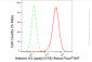 KD-Validated Anti-Histone H3 (acetyl K18) Rabbit Monoclonal Antibody