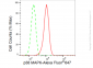 KD-Validated Anti-p38 MAPK Rabbit Monoclonal Antibody