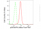 KD-Validated Anti-p38 MAPK Rabbit Monoclonal Antibody