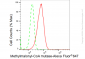 KD-Validated Anti-Methylmalonyl-CoA mutase Rabbit Monoclonal Antibody