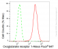 KD-Validated Anti-Oxoglutarate receptor 1 Rabbit Monoclonal Antibody
