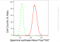 KD-Validated Anti-Spermine synthase Rabbit Monoclonal Antibody