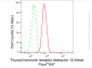 KD-Validated Anti-Thyroid hormone receptor interactor 10 Rabbit Monoclonal Antibody