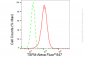 KD-Validated Anti-TSFM Rabbit Monoclonal Antibody