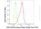 KD-Validated Anti-TAR DNA binding protein Rabbit Monoclonal Antibody