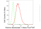 KD-Validated Anti-Histone deacetylase 1 Rabbit Monoclonal Antibody