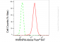 KD-Validated Anti-HNRNPM Rabbit Monoclonal Antibody