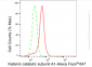 KD-Validated Anti-Katanin catalytic subunit A1 Rabbit Monoclonal Antibody