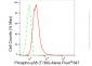 KD-Validated Anti-Phospho-p38 (T180) Rabbit Monoclonal Antibody