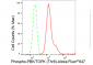 KD-Validated Anti-Phospho-PBK/TOPK (Thr9) Rabbit Monoclonal Antibody