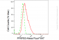 KD-Validated Anti-PFKFB3 Rabbit Monoclonal Antibody