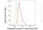 KD-Validated Anti-Replication protein A1 Rabbit Monoclonal Antibody