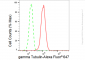 KD-Validated Anti-gamma Tubulin Rabbit Monoclonal Antibody