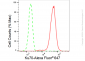 KD-Validated Anti-Ku70 Rabbit Monoclonal Antibody