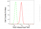 KD-Validated Anti-YES1 Rabbit Monoclonal Antibody