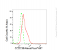 KD-Validated Anti-CCDC98 Rabbit Monoclonal Antibody