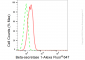 KD-Validated Anti-Beta-secretase 1 Rabbit Monoclonal Antibody