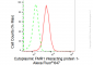KD-Validated Anti-Cytoplasmic FMR1 interacting protein 1 Rabbit Monoclonal Antibody